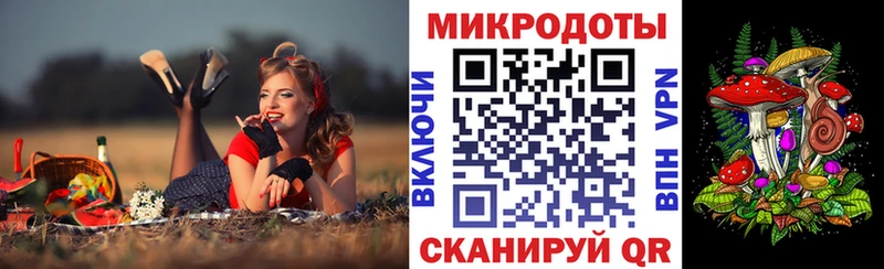 Галлюциногенные грибы Psilocybine cubensis  Белёв 